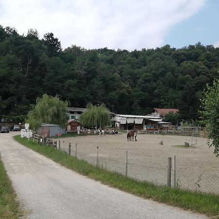 Locazione Turistica Varaita-Brossasco 外观 照片